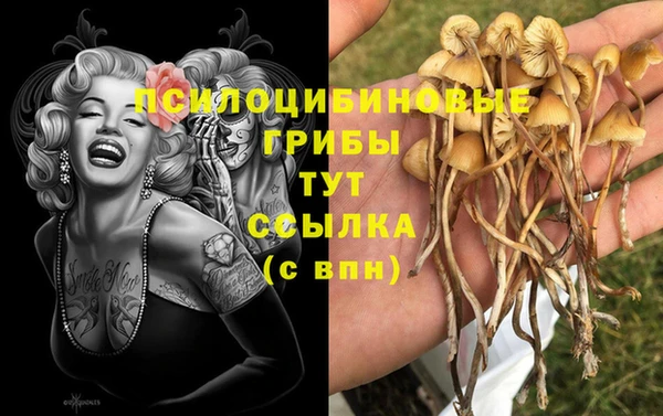 наркотики Алексеевка