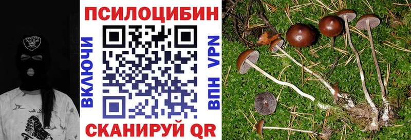 Псилоцибиновые грибы Cubensis  Харовск 